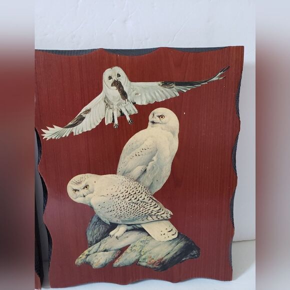 Wooden Owl Wall Hangings (2) - Picture 4 of 8